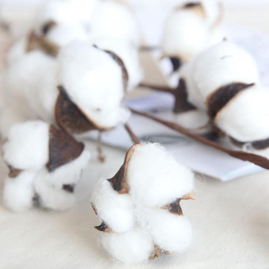 Dried Cotton Boll Branch Spray, 21 in Stem, view 2