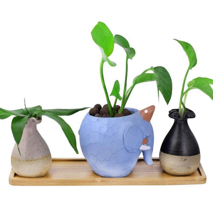 Bamboo Saucer Trays for Plant Pots, Six Shapes, view 16