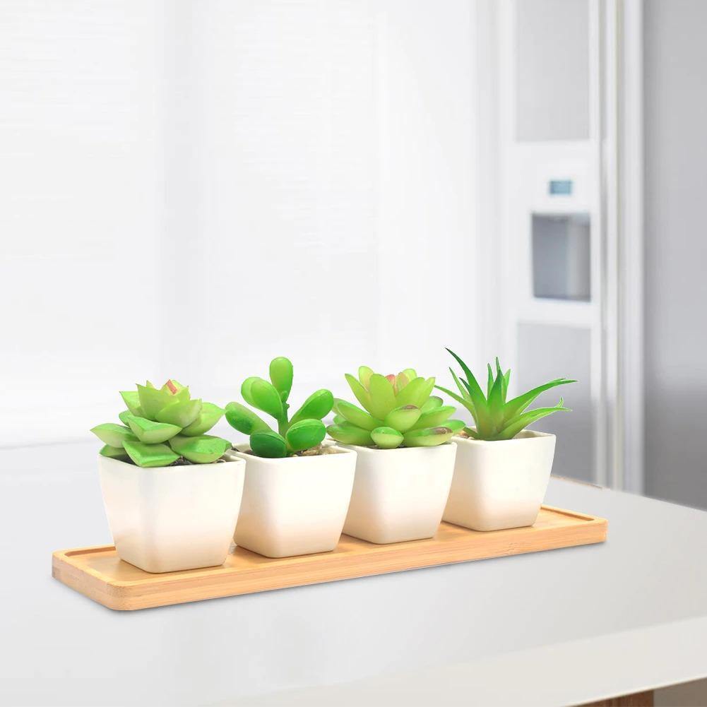 Bamboo Saucer Trays for Plant Pots, Six Shapes, view 9