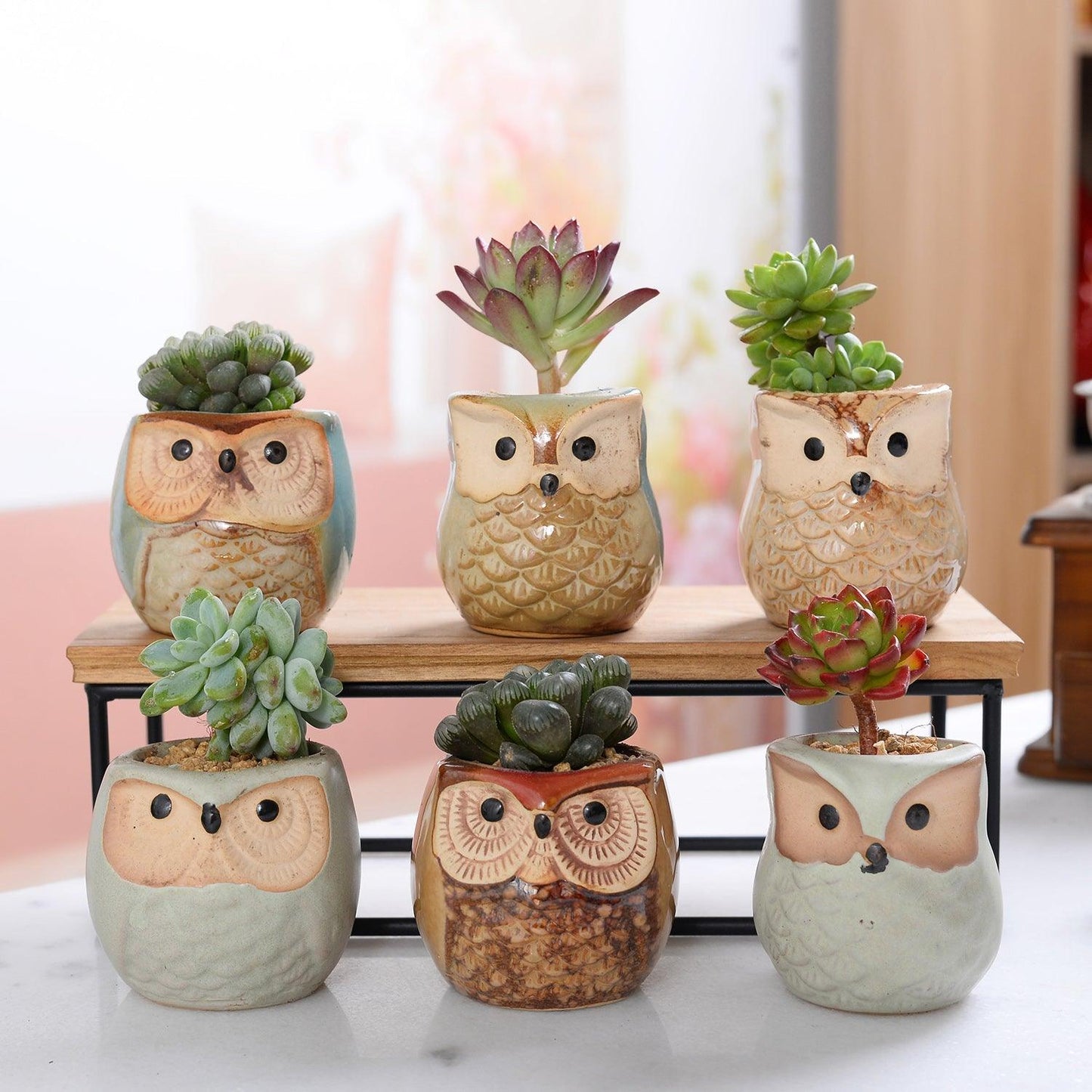 Mini Owl Ceramic Planters, Set of 6, view 9