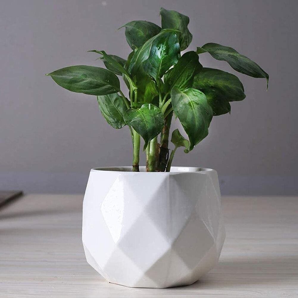 Faceted Ceramic Succulent Pot with Drainage Hole, view 3