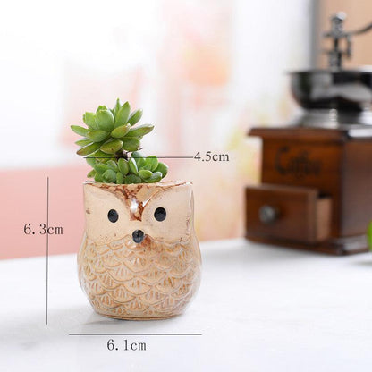 Mini Owl Ceramic Planters, Set of 6, view 3