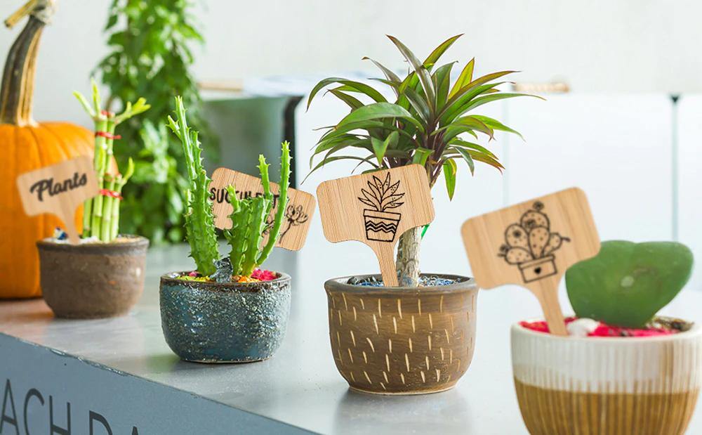 Bamboo Plant Label Tags, T Shaped and Double Sided, view 10