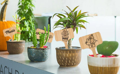 Bamboo Plant Label Tags, T Shaped and Double Sided, view 10
