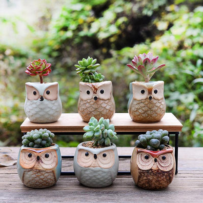 Mini Owl Ceramic Planters, Set of 6