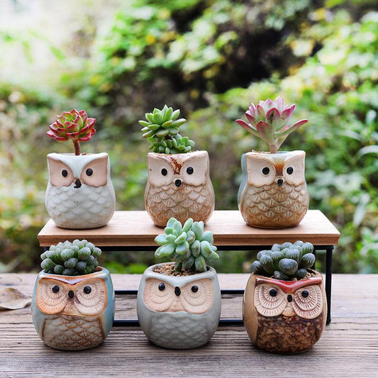 Mini Owl Ceramic Planters, Set of 6