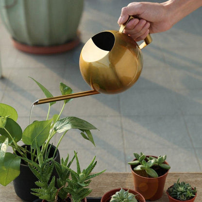 Spherical Stainless Steel Watering Can, Long Spout, view 12