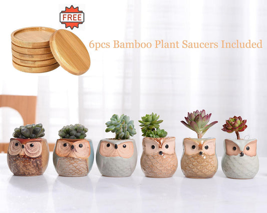 Mini Owl Ceramic Planters, Set of 6, view 2