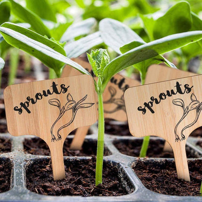 Bamboo Plant Label Tags, T Shaped and Double Sided, view 2