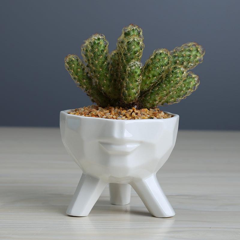 White Ceramic Face Planters, Set of 2, view 4