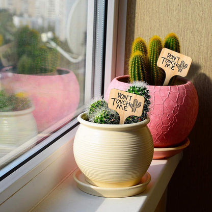 Bamboo Plant Label Tags, T Shaped and Double Sided, view 5