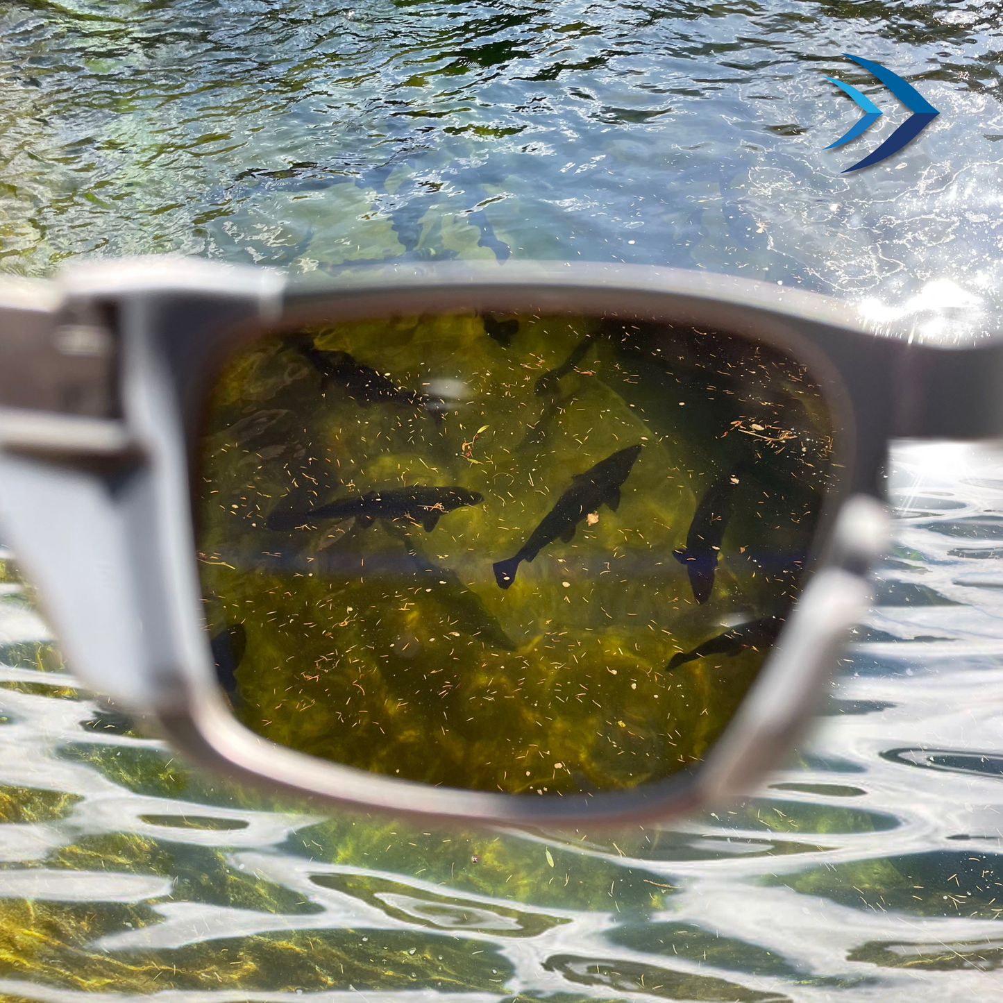 Fishing Sunglasses with Polycarbonate Lenses