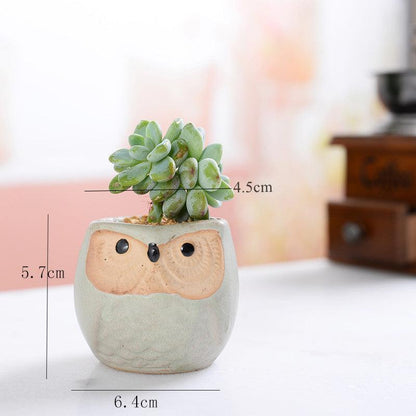 Mini Owl Ceramic Planters, Set of 6, view 7