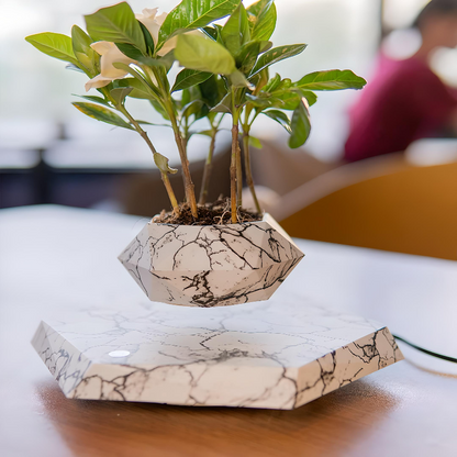 Levitating Plant Pot with Rotating Magnetic Base, view 2