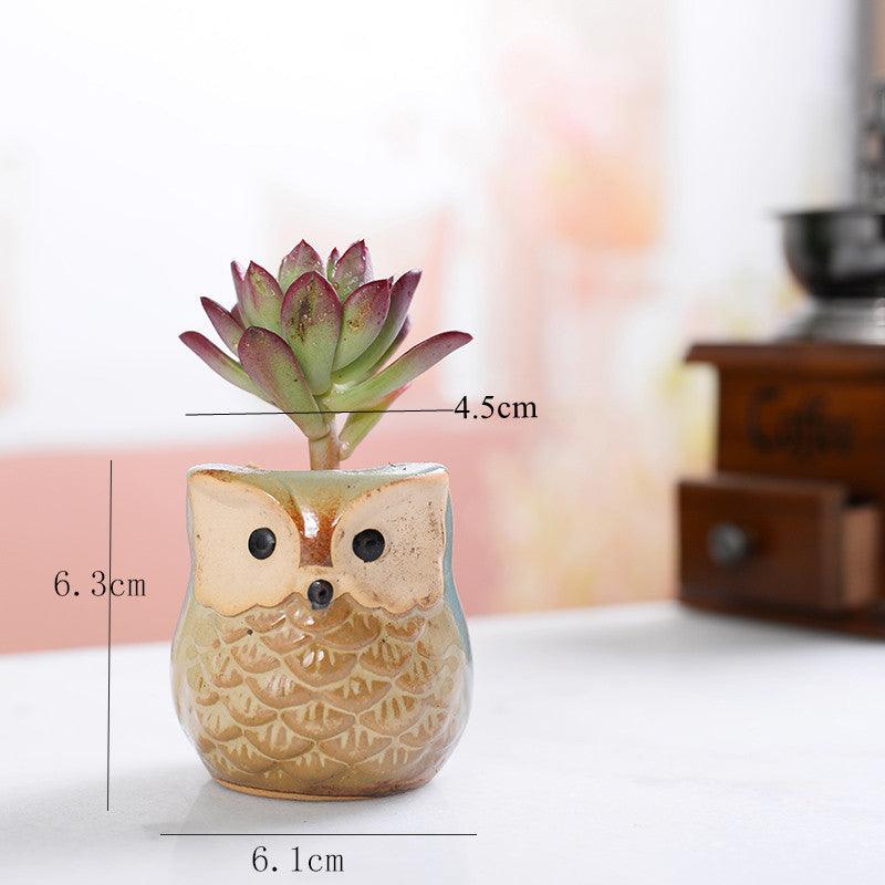 Mini Owl Ceramic Planters, Set of 6, view 8