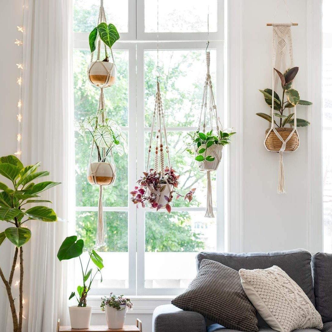 Macrame Plant Hangers, Set of 4
