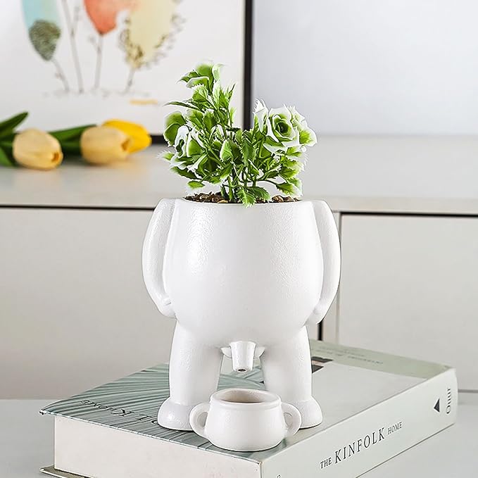 Cheeky Ceramic Novelty Planter with Drip Cup