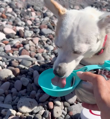 Portable Dog Water Bottle with Fold Out Bowl, view 5