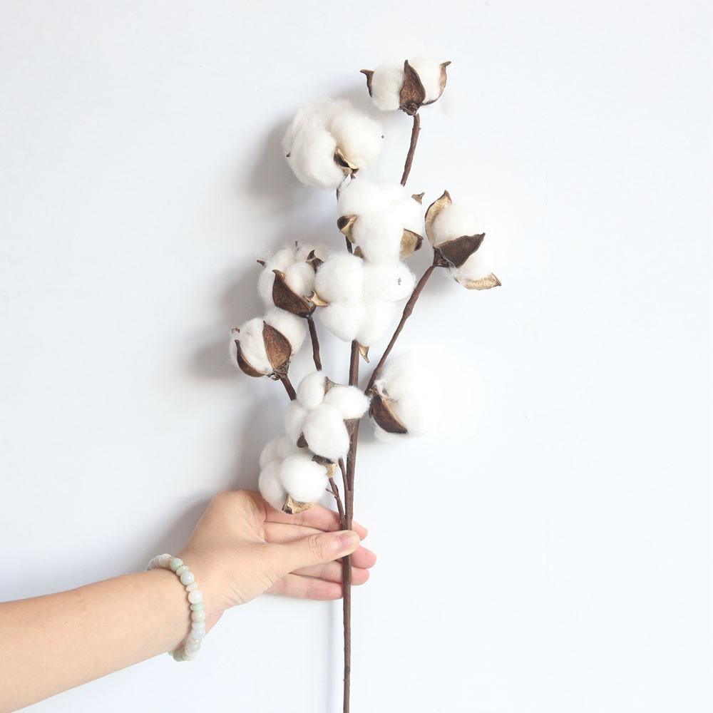 Dried Cotton Boll Branch Spray, 21 in Stem
