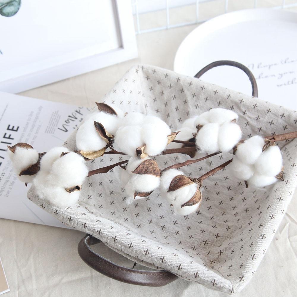 Dried Cotton Boll Branch Spray, 21 in Stem, view 6