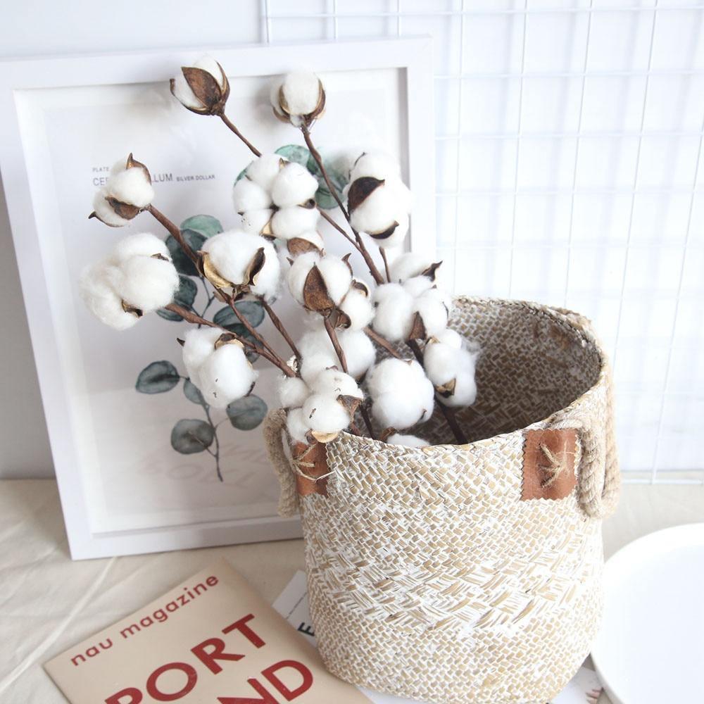 Dried Cotton Boll Branch Spray, 21 in Stem, view 8