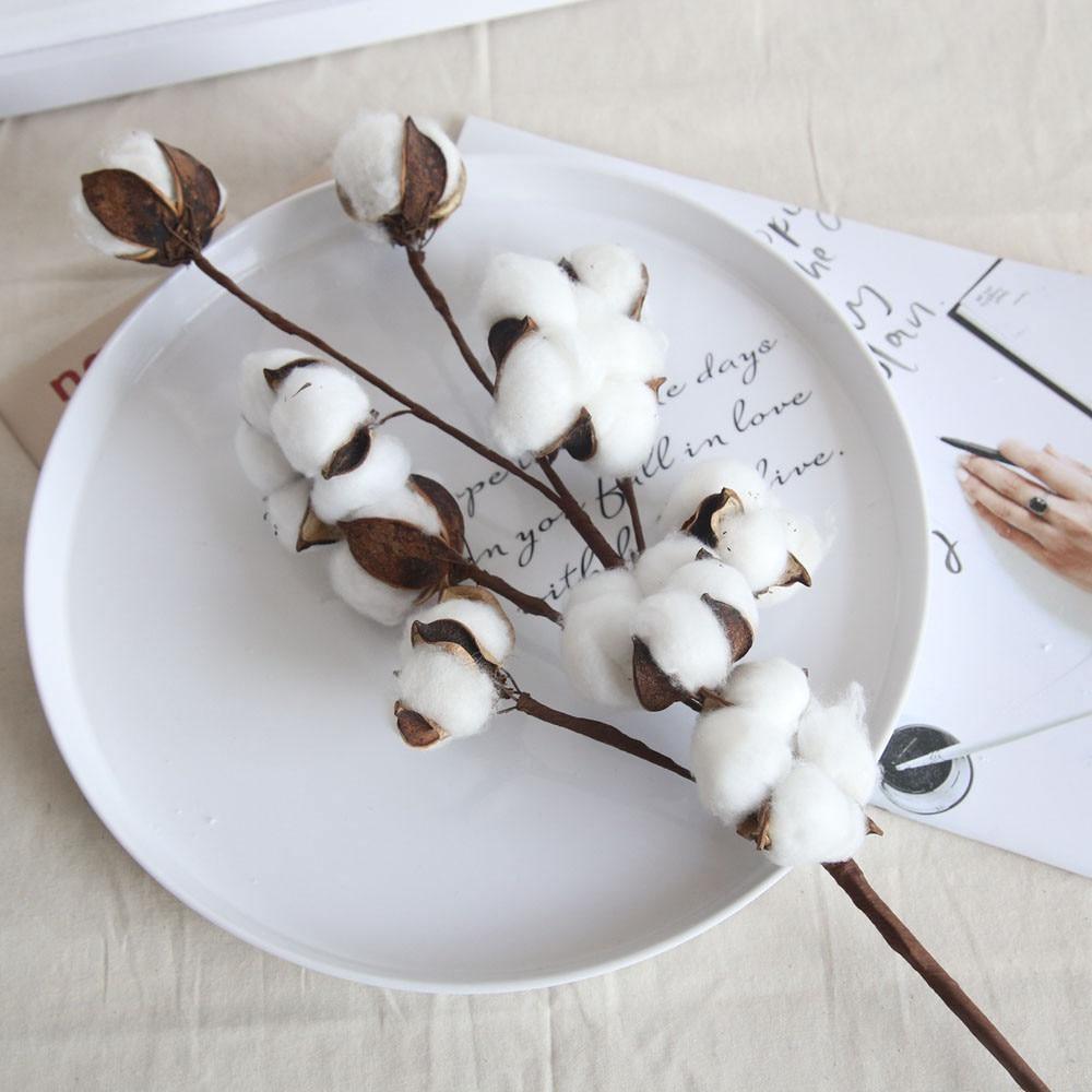 Dried Cotton Boll Branch Spray, 21 in Stem, view 9
