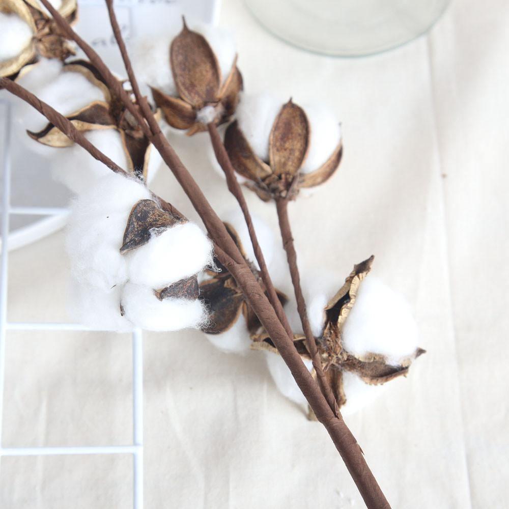 Dried Cotton Boll Branch Spray, 21 in Stem, view 5