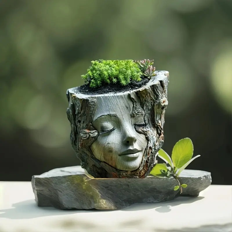 Carved Face Tree Trunk Planter for Succulents