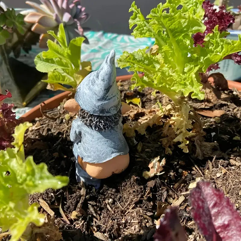 Cheeky Garden Gnome Statue in Resin, 5 in, view 4
