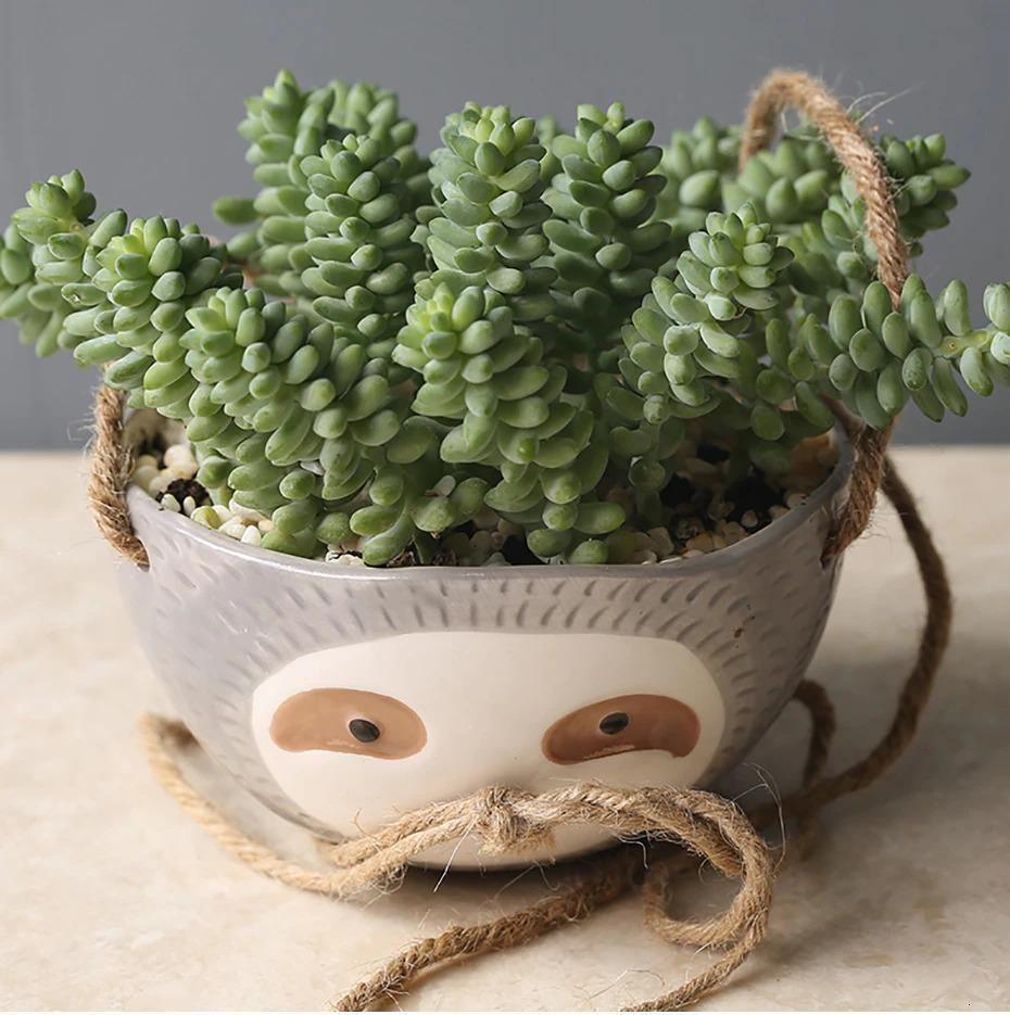 Ceramic Sloth Planter for Small Succulents, Two Shapes, view 12