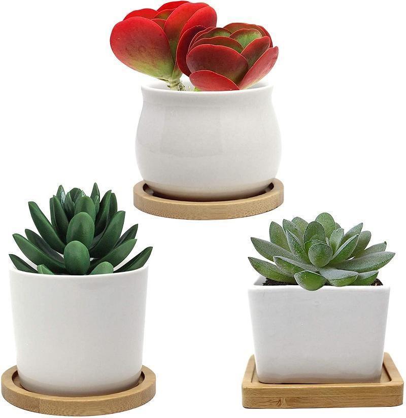 Bamboo Saucer Trays for Plant Pots, Six Shapes, view 15