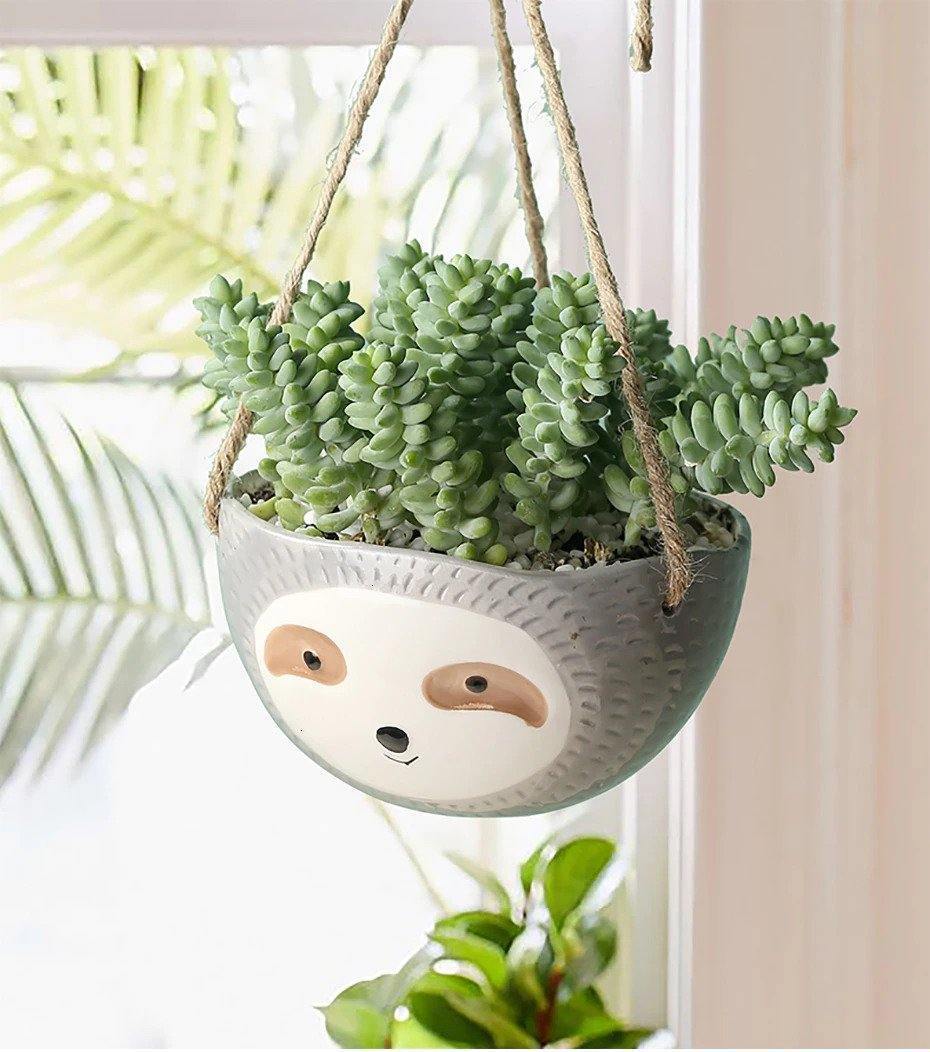 Ceramic Sloth Planter for Small Succulents, Two Shapes, view 4
