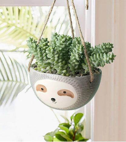 Ceramic Sloth Planter for Small Succulents, Two Shapes, view 4