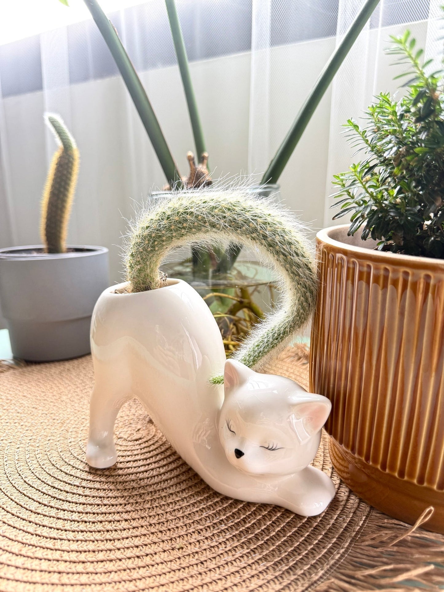Ceramic Cat Planter with Drainage Hole, view 5