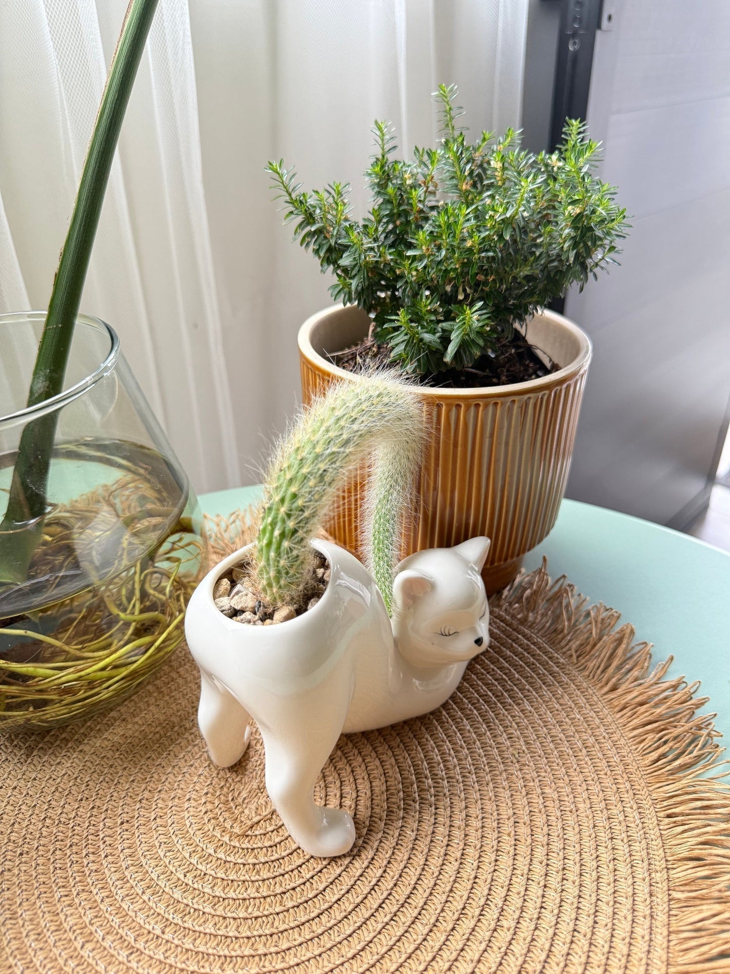 Ceramic Cat Planter with Drainage Hole, view 4