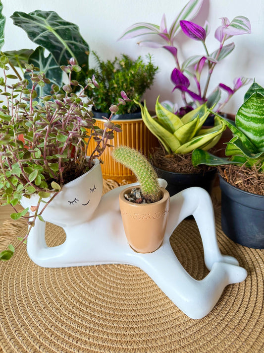Reclining Man Resin Planter, Head and Hand Pots, view 2