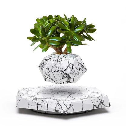 Levitating Plant Pot with Rotating Magnetic Base, view 4