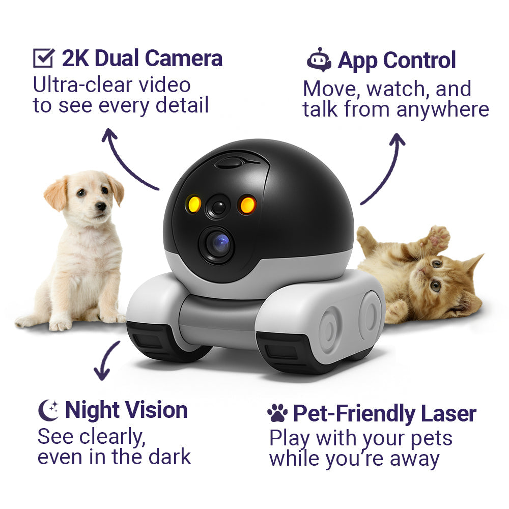 App Controlled Robot Camera on Wheels, 2K Video, view 3