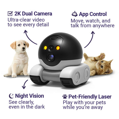 App Controlled Robot Camera on Wheels, 2K Video, view 3