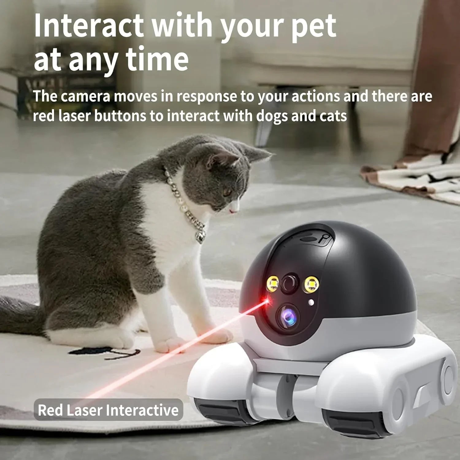 App Controlled Robot Camera on Wheels, 2K Video, view 9