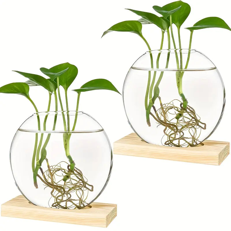 Glass Propagation Globe Vase with Wooden Stand, view 5