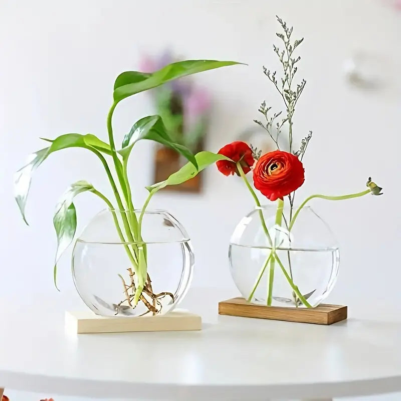 Glass Propagation Globe Vase with Wooden Stand