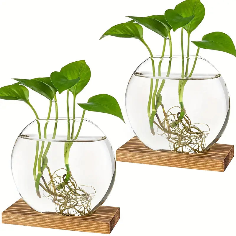 Glass Propagation Globe Vase with Wooden Stand, view 4