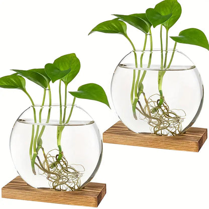 Glass Propagation Globe Vase with Wooden Stand, view 4
