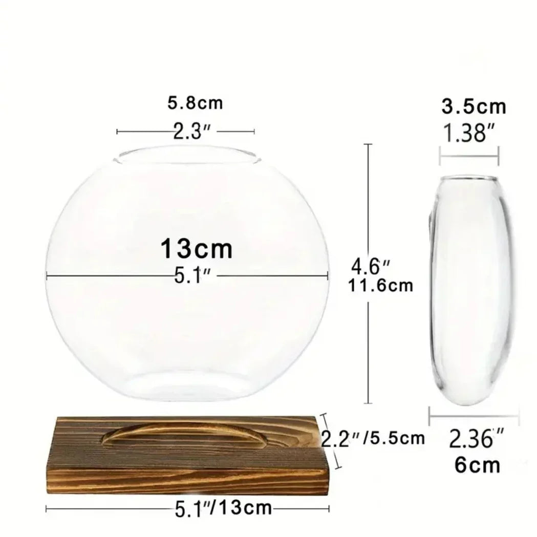 Glass Propagation Globe Vase with Wooden Stand, view 7