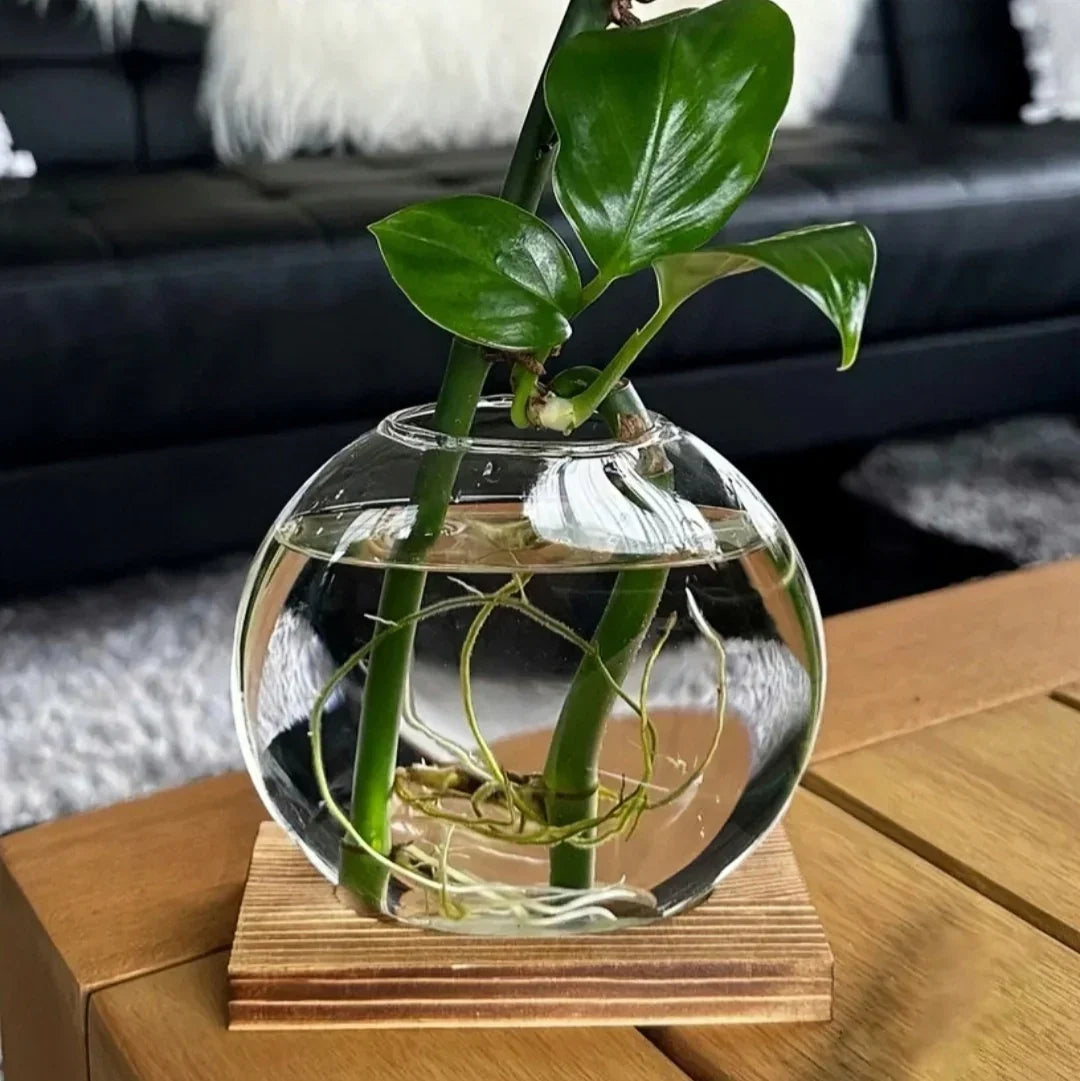 Glass Propagation Globe Vase with Wooden Stand, view 6