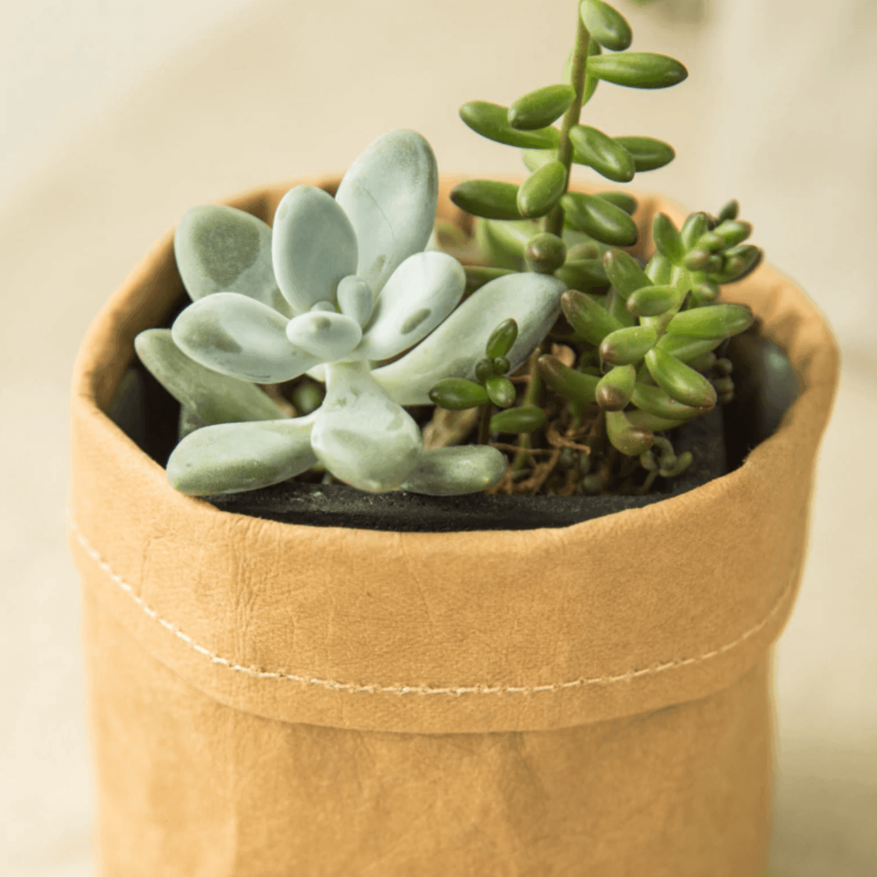 Coated Fabric Planter Basket with Fold Down Rim, view 5