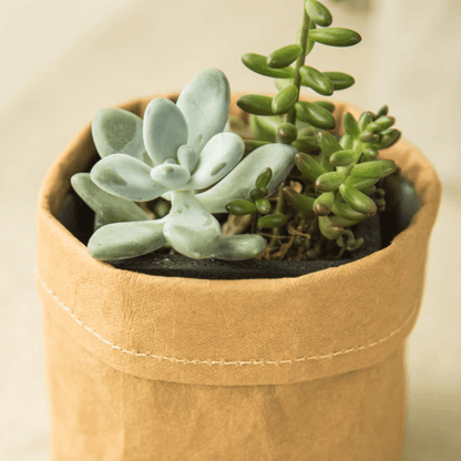 Coated Fabric Planter Basket with Fold Down Rim, view 5