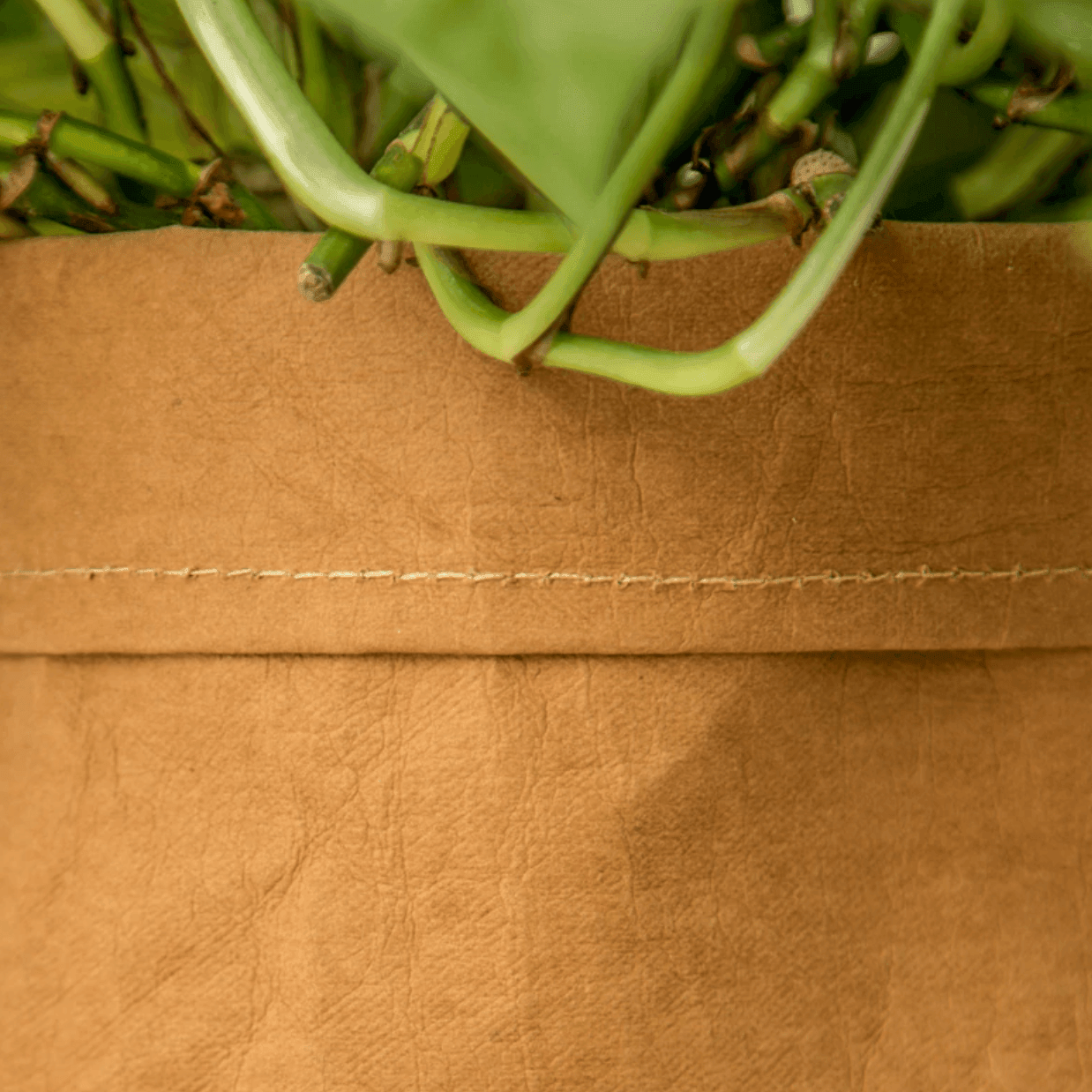 Coated Fabric Planter Basket with Fold Down Rim, view 7