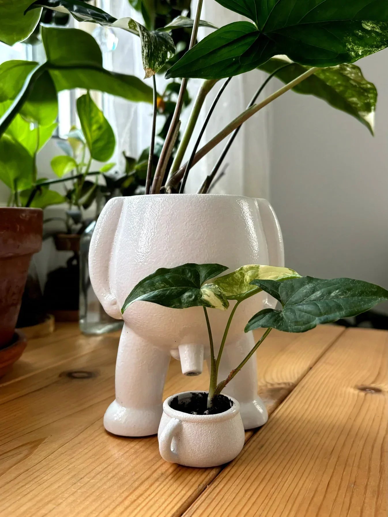 Cheeky Ceramic Novelty Planter with Drip Cup, view 10